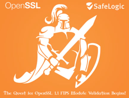 SafeLogic is the Orange Knight!